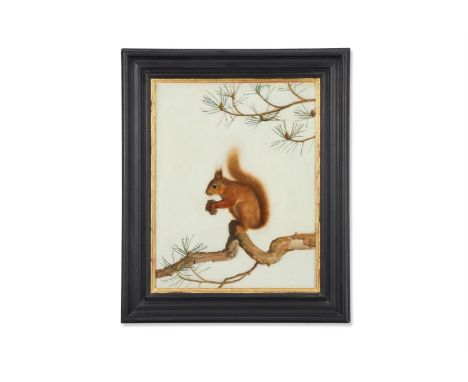 λ DICK SMYLY (20TH/21ST CENTURY)  RED SQUIRREL  Oil on canvas  Signed and dated 03 (lower right)  51 x 40cm (20 x 15½ in.)   
