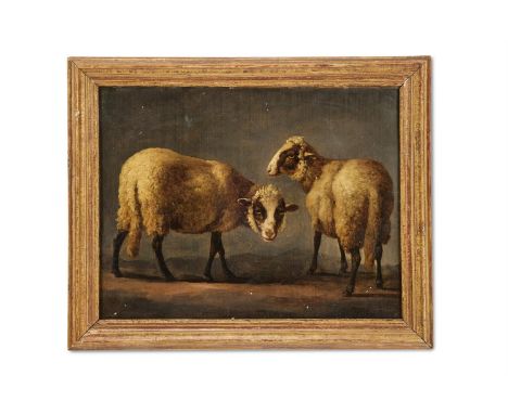 FRENCH SCHOOL (19TH CENTURY)  A STUDY OF TWO SHEEP  Oil on canvas  27 x 35cm (10½ x 13¾ in.) Provenance: Bought in Paris in 1