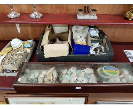 LARGE QUANTITY OF SHELLS, CORAL ETC AND DISPLAY CASE OF SHELLS