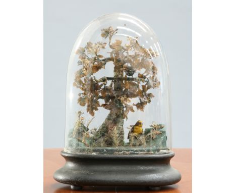 A VICTORIAN SINGING BIRD AUTOMATON, featuring a hummingbird amongst the boughs of a wire-work and fabric tree, to a rocky out
