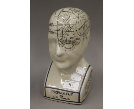 A ceramic phrenology bust