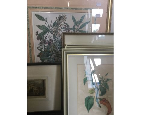 A quantity of framed and glazed decorative prints, including botanical and architectural
