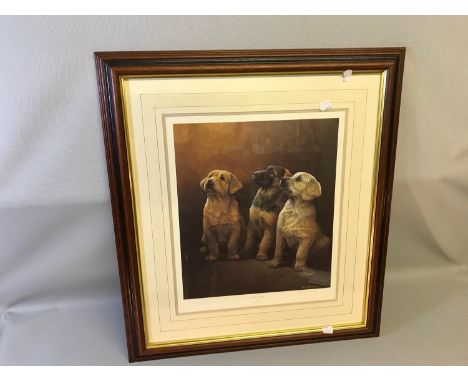 Limited edition print titled "Guiding lights" by Nigel Hemming signed in pencil by artist. Frame measures 67x60cm 