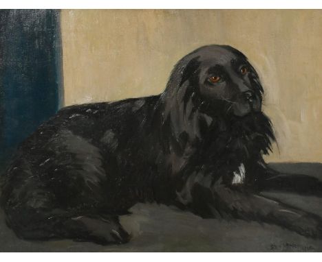 Sydney Merrills (20th Century) A portrait of a long haired black dog, oil on canvas, signed, inscription verso on stretcher a