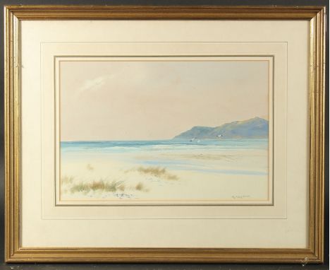 D. Sherrin,  A coastal scene with grasses growing in the sand, light waves coming ashore, flying seas gulls and a hilly coast
