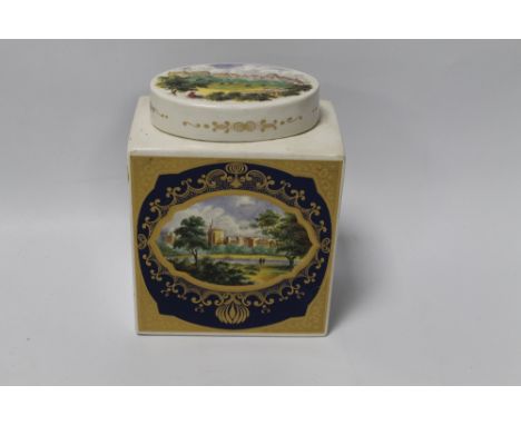 A ROYAL COULDON IRON STONE TEA CADDY OF RECTANGULAR FORM WITH OVAL COVER DECORATED WITH SCENES OF CASTLES 