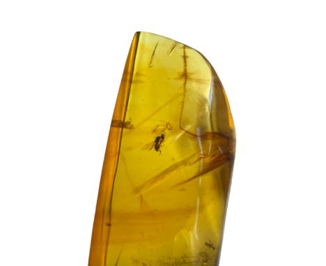 A BEE FOSSIL IN AMBERA stunning amber gem containing a highly detailed bee. From the amber mines of Chiapas, Mexico. Polished