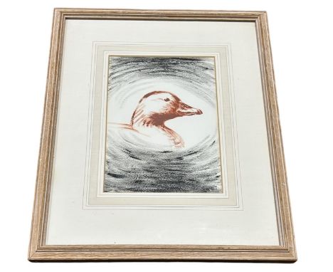 SIR PETER MARKHAM SCOTT (1909-1989): A CRAYON DRAWING ON PAPER DEPICTING A DUCKS HEADSigned bottom right.22cm x 15cmFramed an