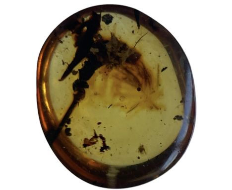 A DINOSAUR FEATHER FOSSIL IN AMBER  A clear piece of amber containing an exceptionally dinosaur feather with colour banding p