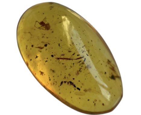 A SPIDER FOSSIL IN DINOSAUR AGED AMBERA rare and detailed spider in a clear amber gem. From the amber mines of Kachin, Myanma