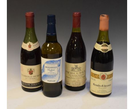 Wines &amp; Spirits - Four bottles of various red and white table wine  