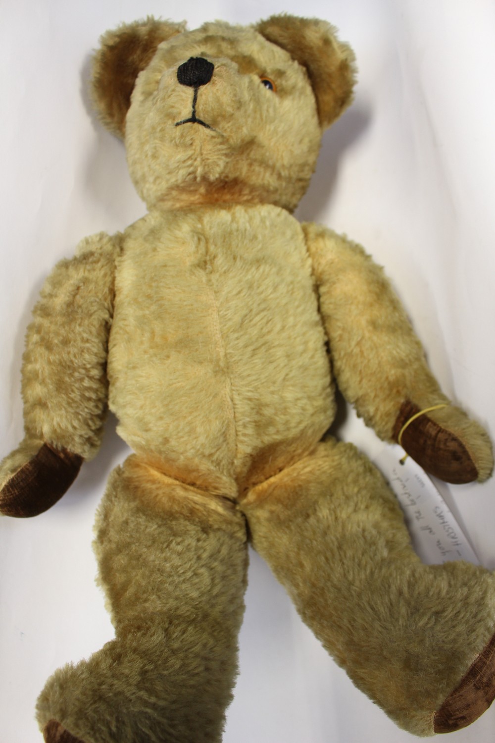 A vintage 'Pedigree' golden plush teddy bear, circa 1950s, 23 inches
