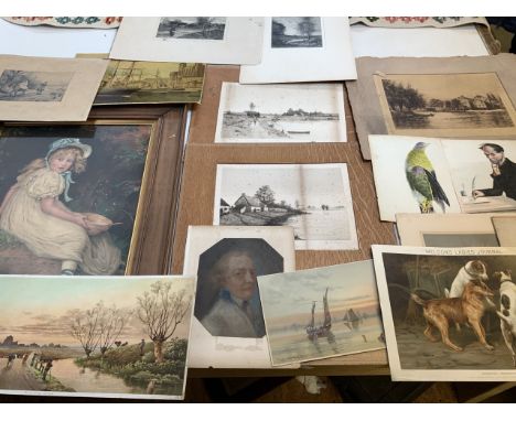 A large framed pears print, a large collection of black and white etchings signed in pencil,  original drawings and prints.