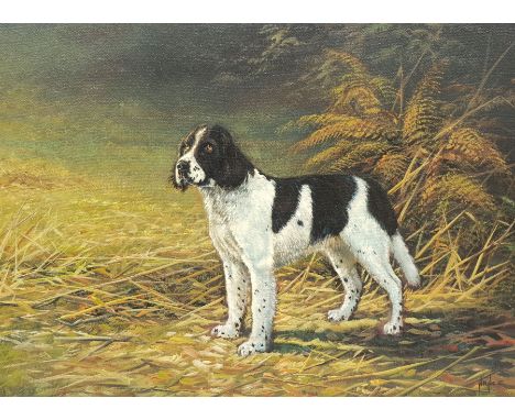 Mike Nance (British Contemporary): Portrait of a Spaniel, oil on board signed  43cm x 59cm