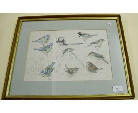 A print of birds after H E Eldridge - 22 x 34cm
