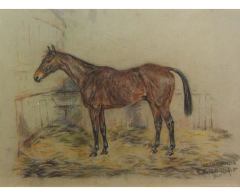 William Wasdell Trickett (British fl.1921-1939): 'Rathdonnell' portrait of a hunter in stable setting, pastel signed titled a