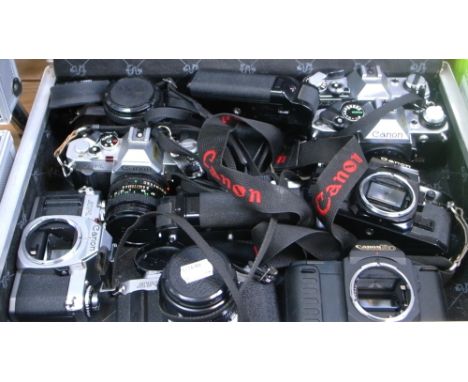 Various manual focus Canon SLR cameras to include A-1, AE-1,T-80,AV-1 and power winders model A.