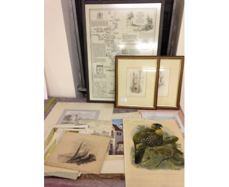 A quantity of framed & unframed pictures & prints to include pen & ink, watercolour, a specimen bird plate and a Limited Edit