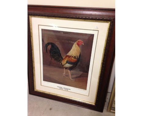 A framed & glazed print of a game cock 'Golden Duckwing' by Herbert Atkinson. 62 x 54cm.