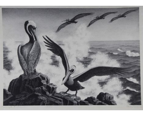 Alan Horton Crane (American, 1901 - 1969) Lithograph of Pelicans in a coastal seascape. Image size: 9.75 x 14 inches. Member 