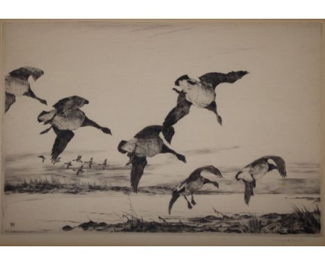 Winifred Marie Louise Austen  (England, 1876 - 1964) "Brent Geese" Original etching.  Pencil signed in lower margin.  Image s