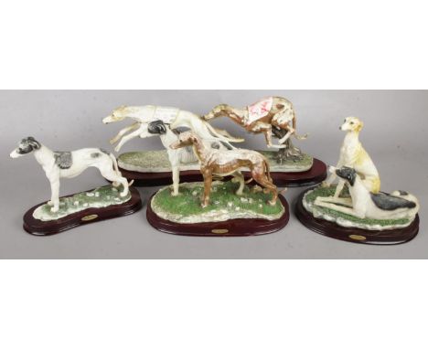 Four ceramic figures of racing dogs on wooden plinths.  