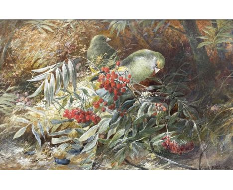 Charles Henry C. Baldwyn (Royal Worcester artist) (British, 1859-1943), budgerigars amongst branches of berries, signed l.r, 