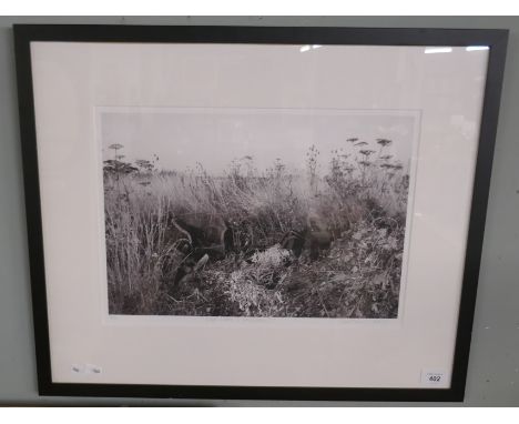 L/E photo print 'Lloyd Loom I presume' 3/20 