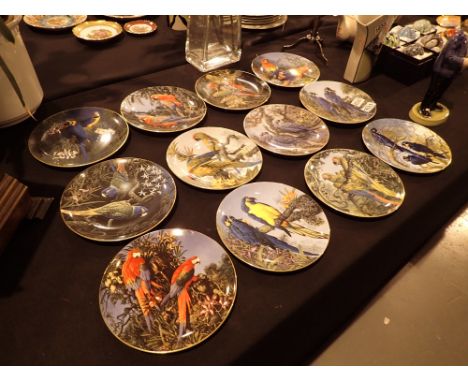 Set of twelve Macaw plates by Wedgwood