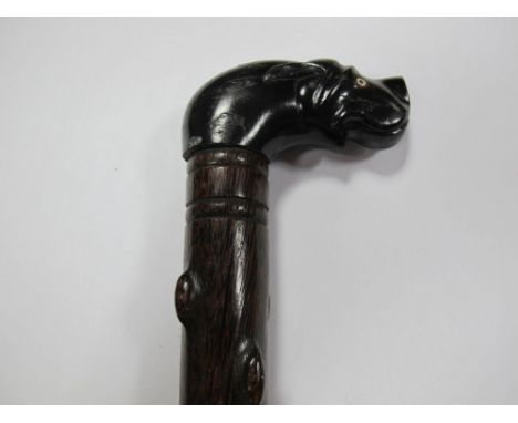 A Coromandel (?) Walking Stick, with carved ebony dogs head handle, bone eyes, length 92cms. 