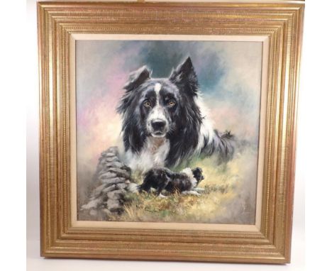 Mick Cawston - oil on canvas collie dog crouching and portrait, signed and dated 1996, 49 x 49cm 