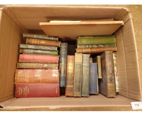 The Log of a Sky Pilot by Rev Thomas Stanley Treanor, first edition 1893 along with box of old literary books 