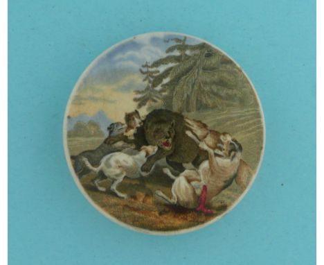 Bear Attacked by Dogs (2) 86mm  (pot lid, pot lids, potlid, potlids, prattware)  * Ex Beckford, number 2732