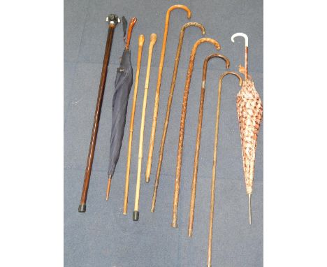 Five bamboo walking sticks, one with silver collar, walking stick with resin dog's head knop, two root wood sticks and two la