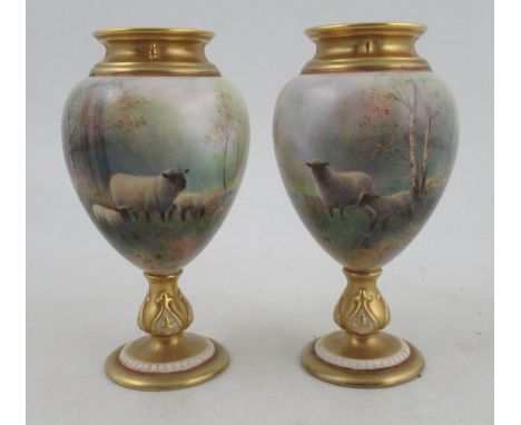 A pair of Royal Worcester pedestal vases, decorated with sheep in a spring woodland with bluebells and birch trees by Harry D