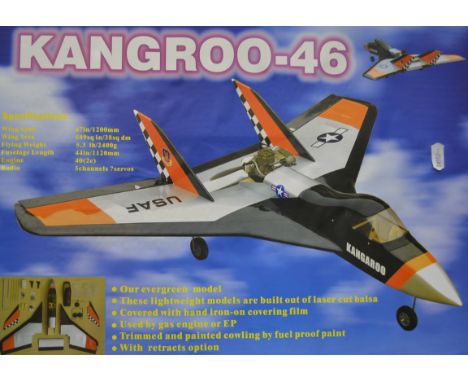 Kangroo-46 semi scale pusher delta, 47" span for 6.5cc engine.