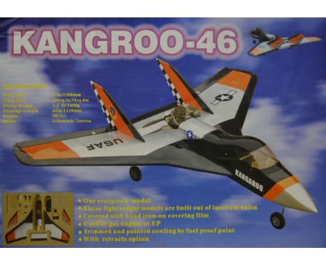 Kangroo-46 semi scale pusher delta, 47" span for 6.5cc engine.