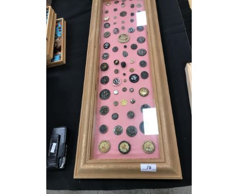 Three frames of mainly figurative buttons depicting animals, people, ships, flowers, etc, buttons made of a variety of differ