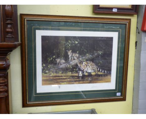 DAVID SHEPHERD SIGNED LIMITED EDITION PRINT 254/900 'CLOUDED LEOPARD AND CUBS' WITH ARTISTS STAMP 66 X 44CM APPROX 