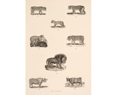 Bewick (Thomas &amp; John). Bewick's Woodcuts: Impressions of upwards of two thousand wood-blocks, London: L. Reeve, 1870, po