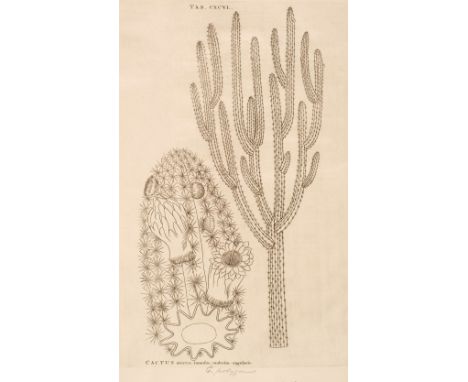 Plumier (Charles). Plantarum Americanarum fasciculus primus [-Decimus], continens plantas, quas olim Carolus Plumierius, Bota