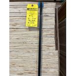 1/2" CDX PINE PLYWOOD 4' X 8'