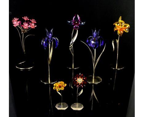 Collection of seven Swarovski crystal flowers on metal stands, to include Dambulla Light Topaz no. 677618, and Domni Light Si