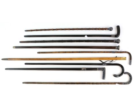 A silver handled walking cane and silver collar Edinburgh assay, a bamboo stick with silver handle, the handle indistinctly  