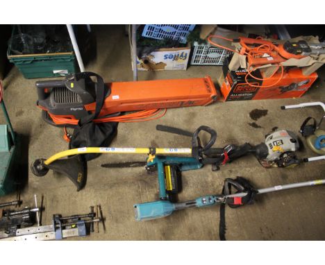 A Ryobi PLT petrol strimmer and a Black & Decker DN301 electric chainsaw (lacking cable)