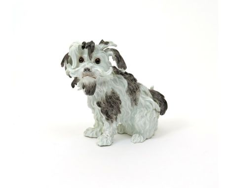 A Meissen figure of a Bolognese Terrier, late 18th/early 19th century, after the model by J J Kändler, seated on its haunches