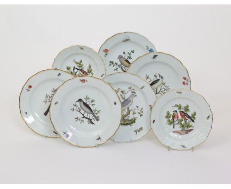 Five Meissen ornithological plates, 19th century, decorated probably outside of the factory with specimens of birds perched o
