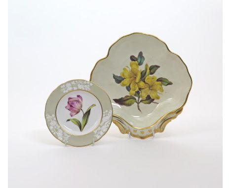 A Derby botanical shell-shaped dish, c.1815, finely painted with a large floral specimen, titled in red to the reverse with '