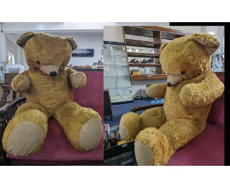 Early Mid Century Very Large Chad Valley Teddy Bear, With Padded Paws and Nose, Pointed Snout, Straw Filled. Approx 36 Inches