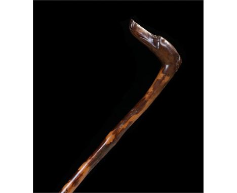 Victorian dogs head walking stick, the carved dog head with glass eyes above the tapering cane, 88cm long